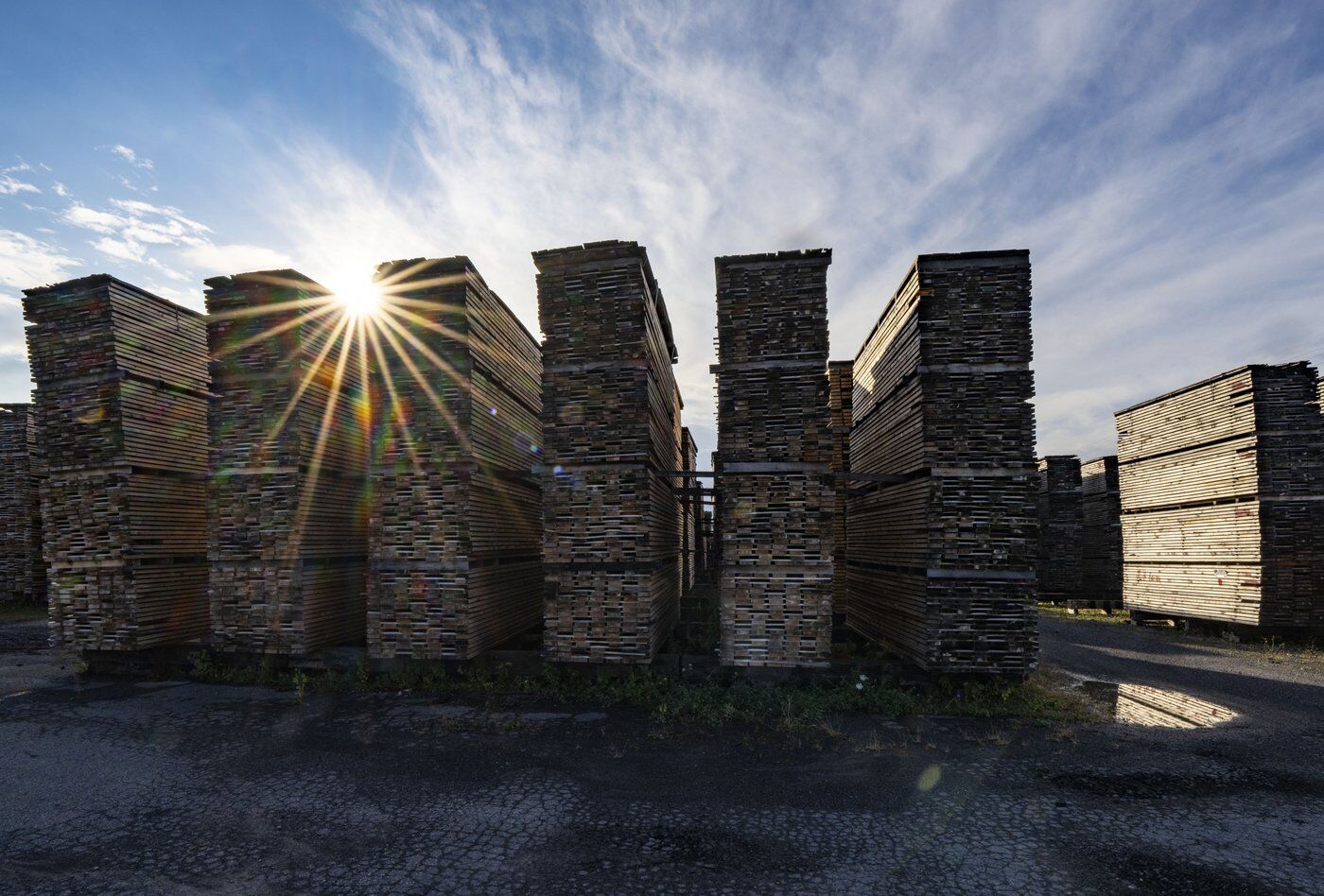 L'industrie forestière invite Ottawa à lui verser une compensation sur les droits